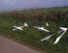 2 Swifts au bord de la route.jpg (73869 octets)